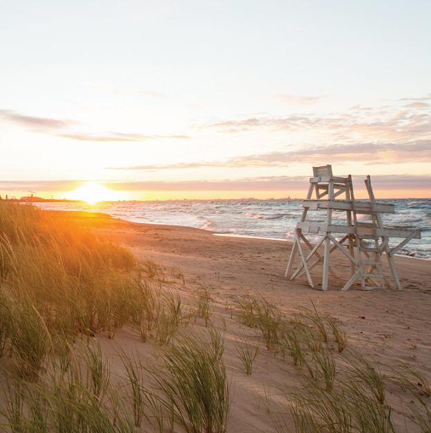 Indiana dunes sand